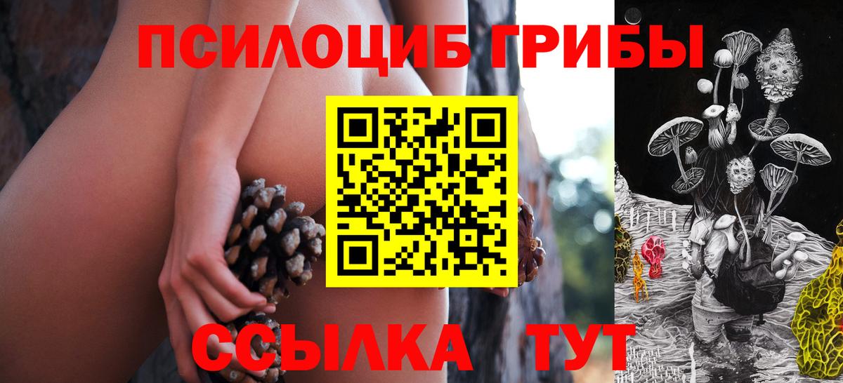 Псилоцибиновые грибы GOLDEN TEACHER Белая Калитва