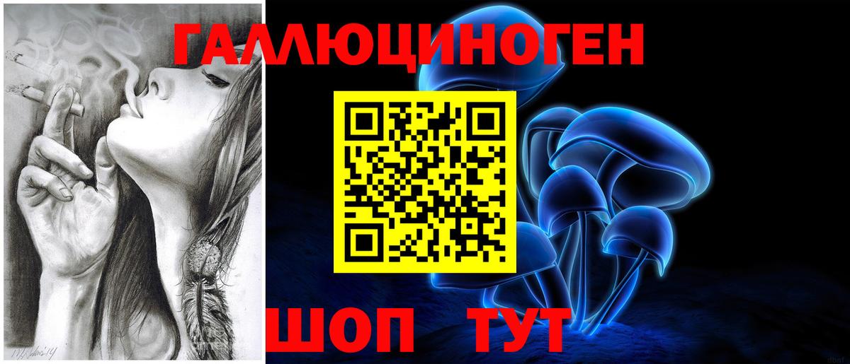 Галлюциногенные грибы Psilocybe  Вход с VPN  Галлюциногенные грибы прущие грибы  закладка  Белая Калитва 